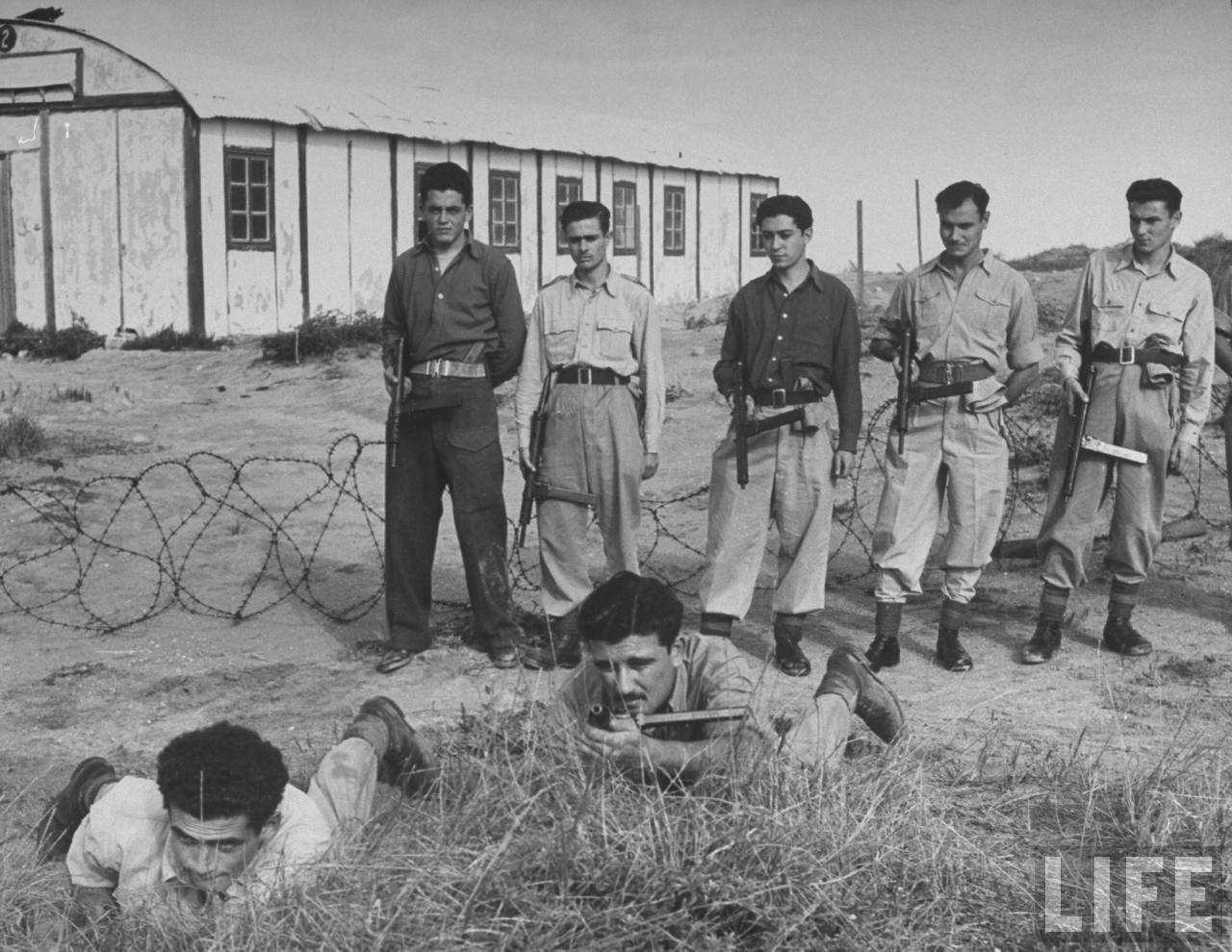 Haganah Çetesi