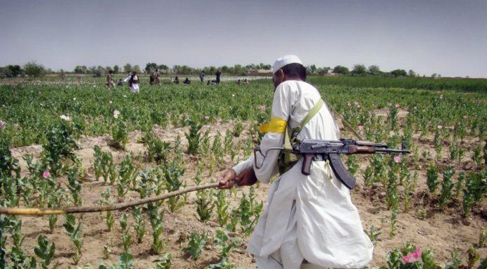 Narcos Afganistan, Afganistan'da Uyuşturucu Problemi. Fotoğraf: MintPress News